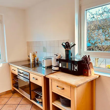 Theblue Oak 펜션 러스트