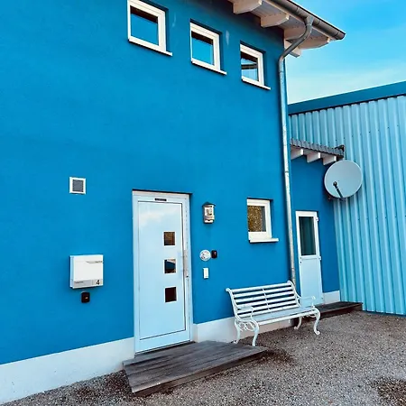 Theblue Oak * روست